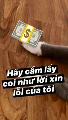 Tiền đâu mà đáng yêu thế! Meme này làm bạn không thể nhịn cười