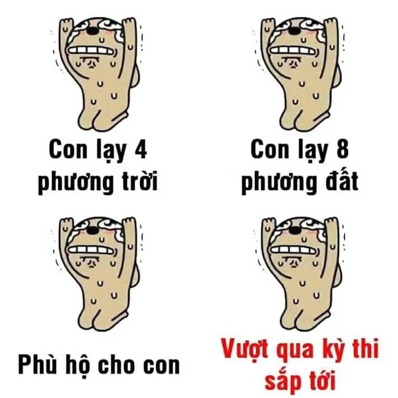 Bố lạy mày meme sẽ giúp bạn bày tỏ cảm xúc 
