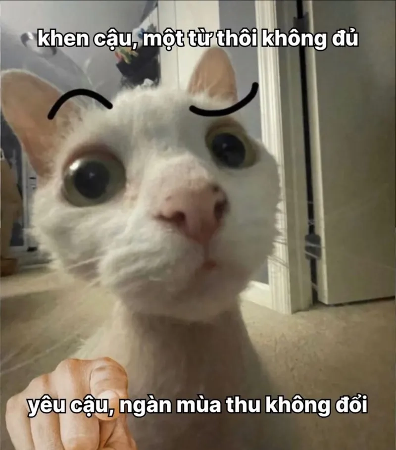 Ảnh thả thính meme độc đáo và sáng tạo, phù hợp cho mọi đối tượng người dùng.