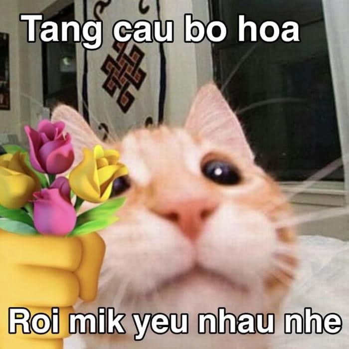 Những meme tình yêu hài hước mang đến nụ cười và cảm giác hạnh phúc cho người xem.