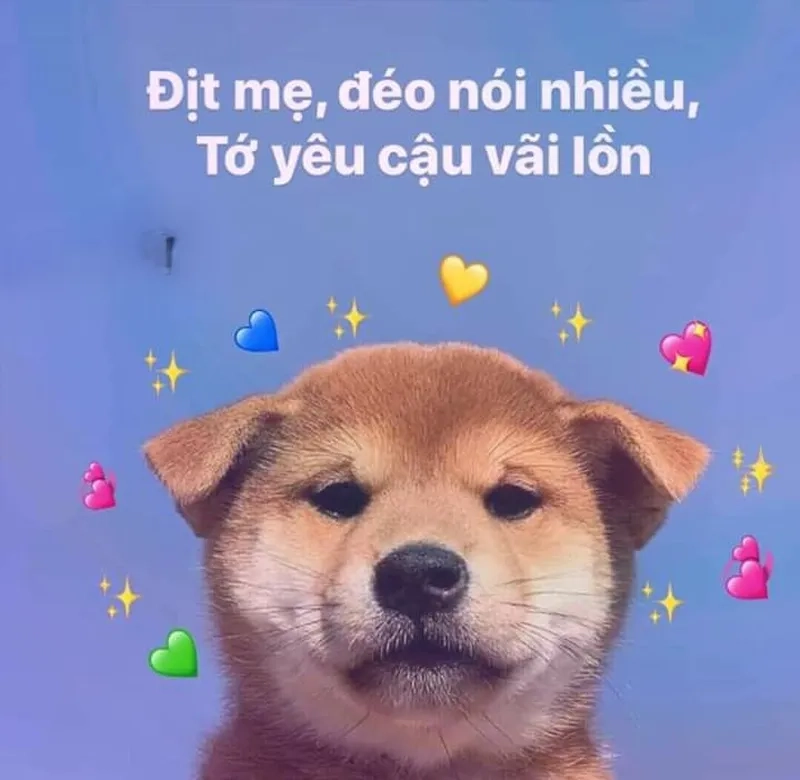Meme buồn là cách thể hiện những khoảnh khắc yếu lòng, nhưng cũng không thiếu sự dễ thương và đáng yêu.