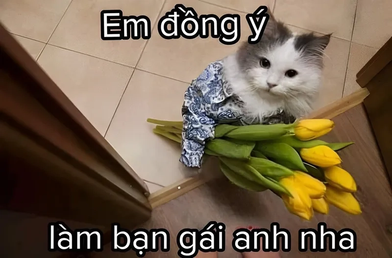 Meme si tình là sự kết hợp giữa cảm xúc mạnh mẽ và những hành động dễ thương, tạo nên sự lãng mạn tuyệt vời.