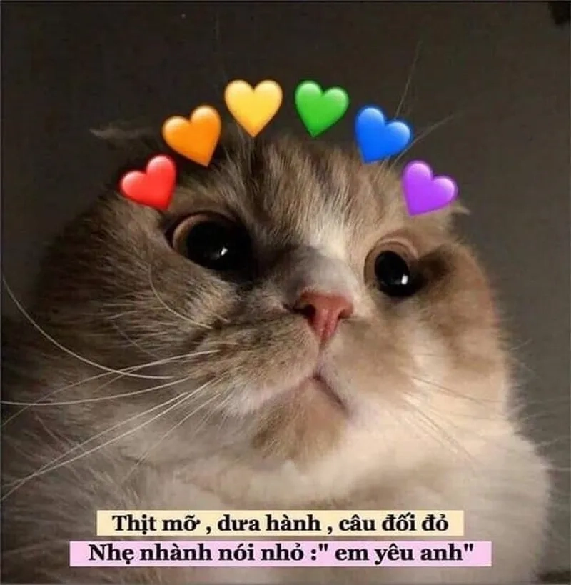Meme tình cảm giúp bạn thể hiện những cảm xúc ngọt ngào và lãng mạn một cách dễ dàng.
