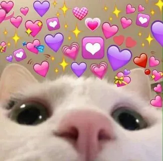 Lan tỏa sự dễ thương với cute ảnh meme tình yêu siêu đáng yêu
