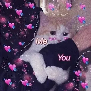 Ảnh meme cute tình yêu siêu dễ thương sẽ khiến bạn cười tít mắt