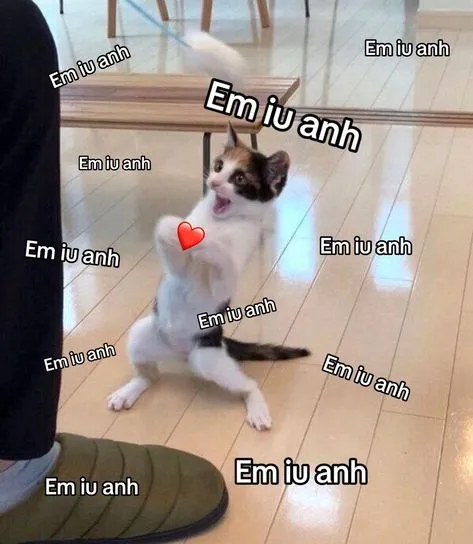 Ngồi im tình yêu sẽ đến, nhưng đôi khi tình yêu lại mang theo tiếng cười lớn!