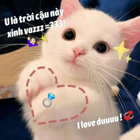 Tận hưởng khoảnh khắc ngọt ngào với ngồi im tình yêu sẽ đến meme