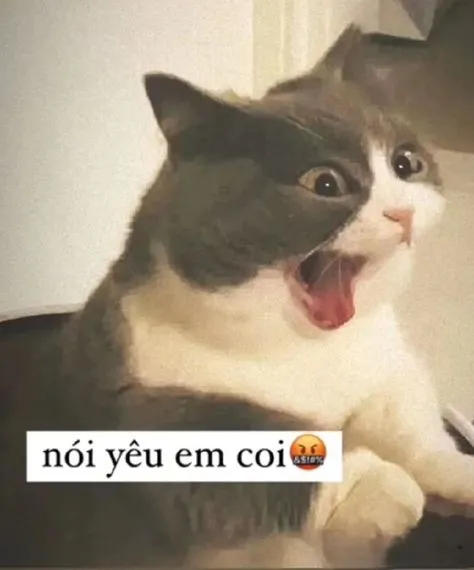 Chia sẻ ngay meme hài tình yêu để mang đến niềm vui cho nửa kia