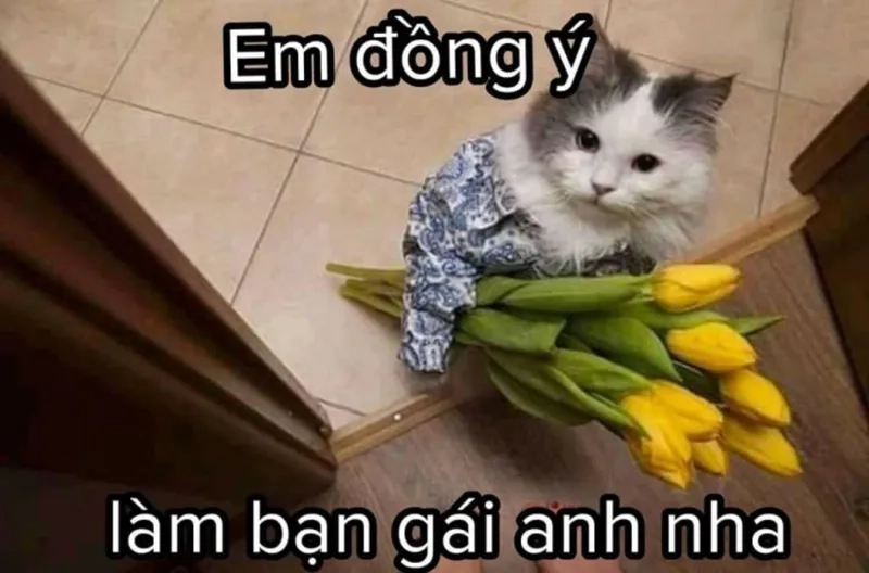 Crush meme tỏ tình hài hước sẽ khiến bạn và đối phương cười tít mắt, đầy ấn tượng.