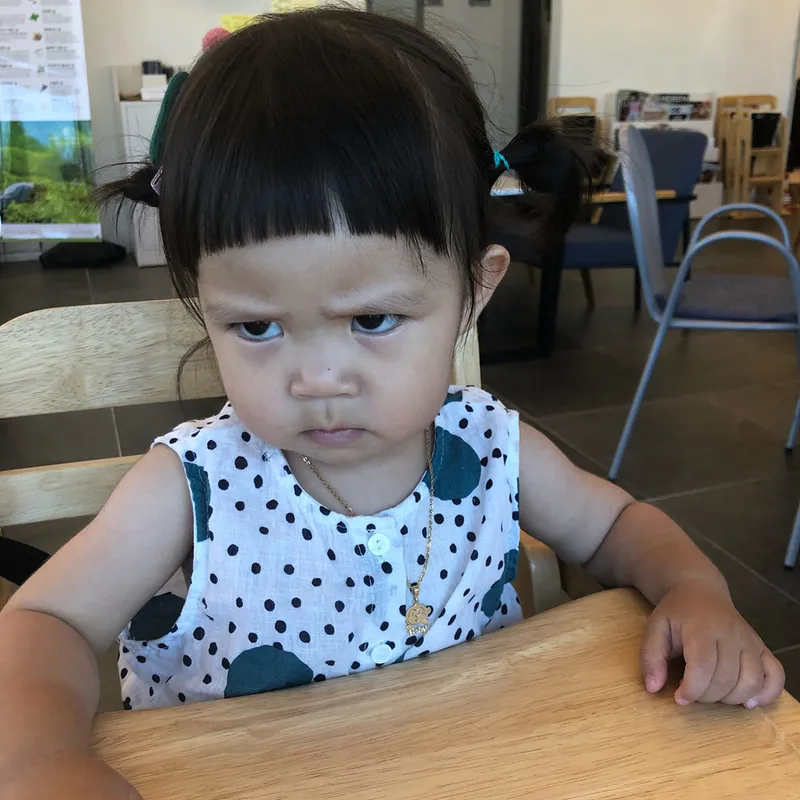 Những hình ảnh mèo meme tức siêu dễ thương, phù hợp để chia sẻ mỗi ngày.