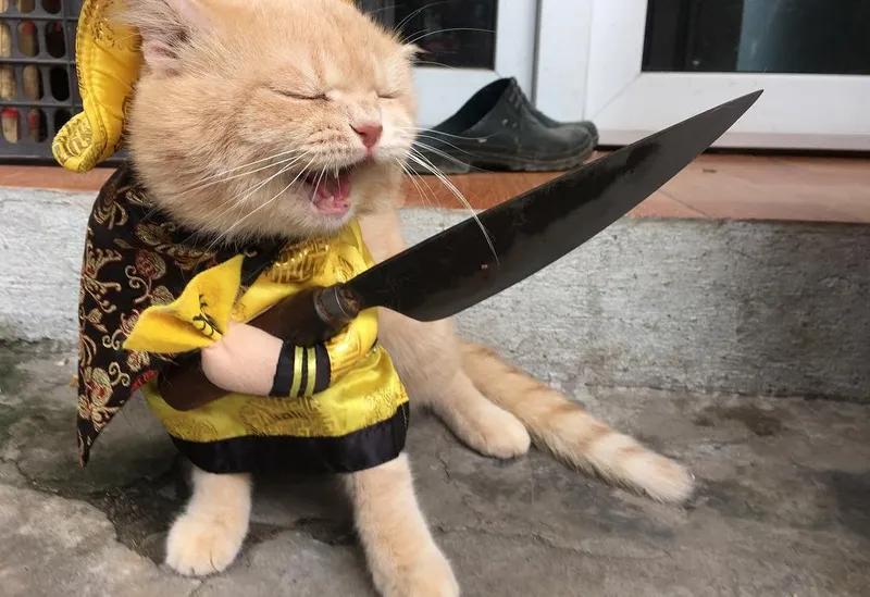 Tuyển tập ảnh meme tức vừa sinh động vừa cực kỳ độc đáo, không thể bỏ qua.