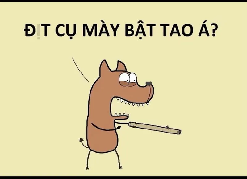 Những bức ảnh tức giận meme vừa hài hước vừa thể hiện cảm xúc mãnh liệt.