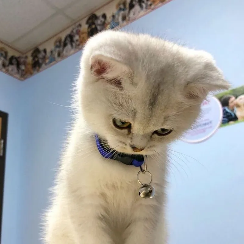 Meme em bé giận sẽ khiến bạn phải cười sảng khoái với những biểu cảm cực kỳ đáng yêu.