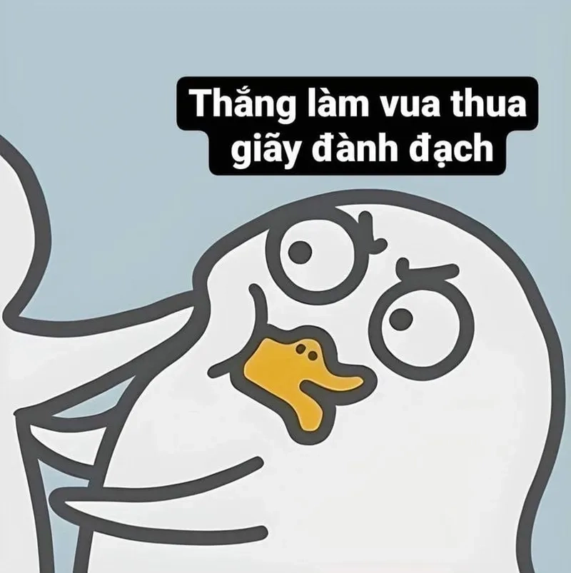 Vịt trắng meme đáng yêu, “must-have” trong bộ sưu tập của bạn.