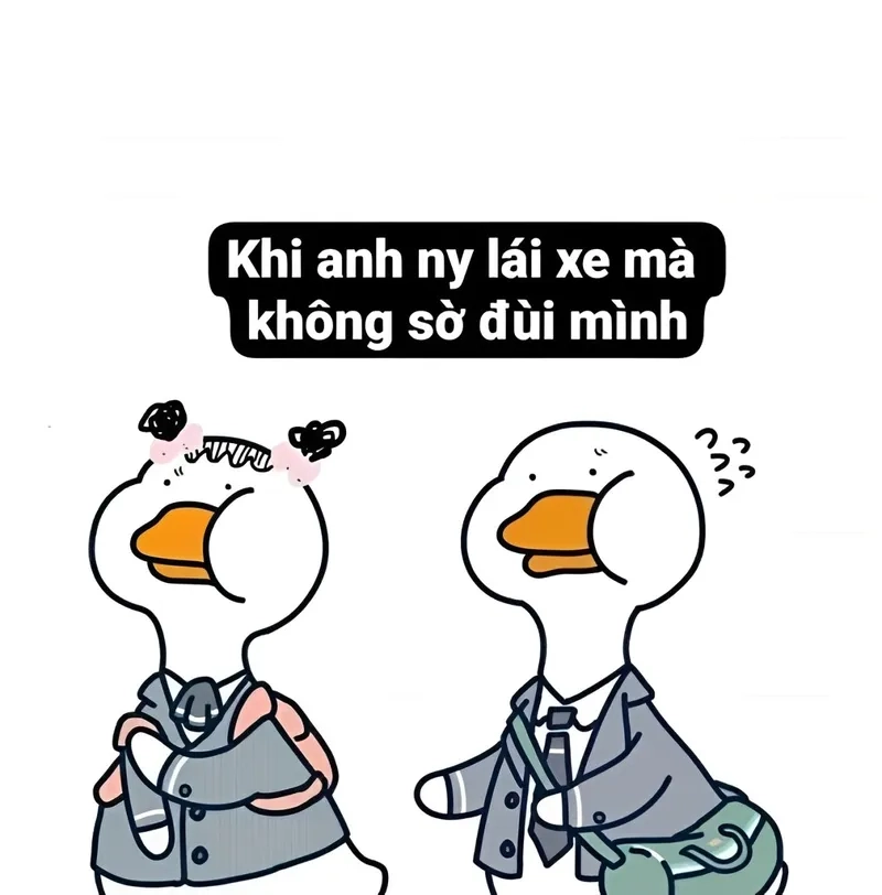 Thú mỏ vịt Perry meme vui nhộn, dành cho các fan hoạt hình.