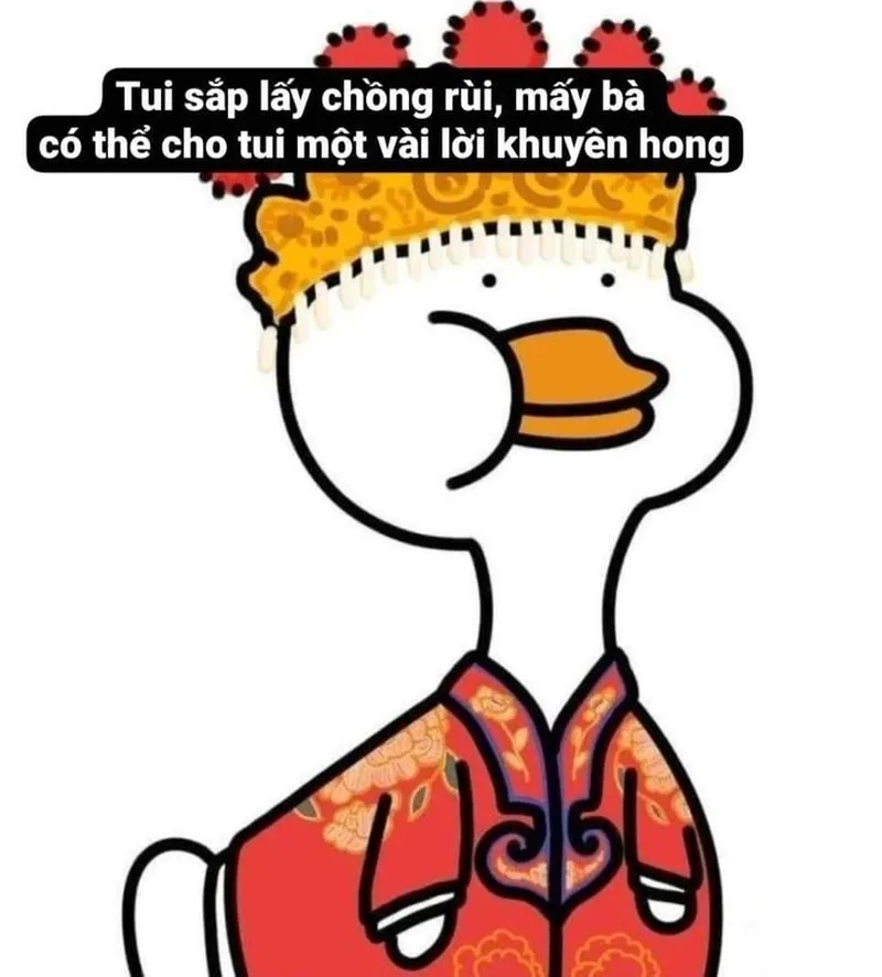 Cute meme ảnh con vịt cầm dao khiến bạn bật cười.