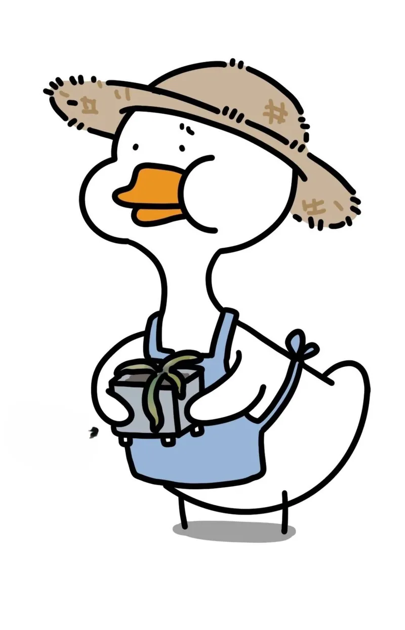 Hình nền con vịt trắng cute là lựa chọn yêu thích cho các tín đồ meme.