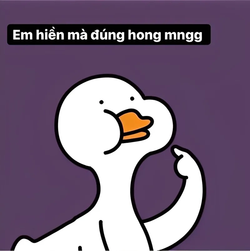 Avatar meme vịt siêu chất, thu hút mọi ánh nhìn trên mạng xã hội.