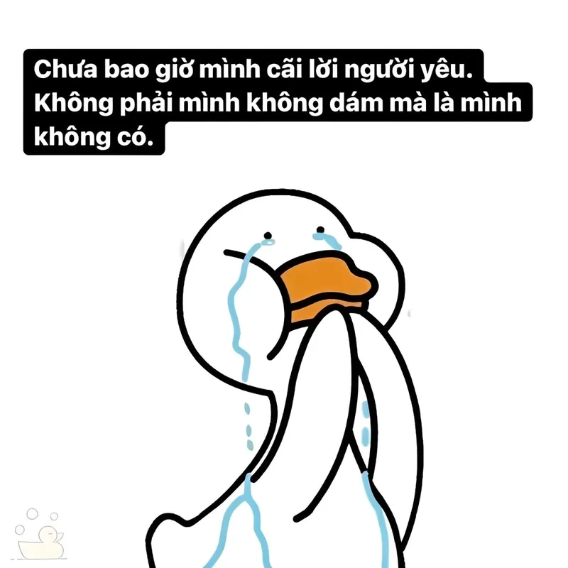 Meme vịt khóc vừa buồn cười vừa dễ thương, xem là thích ngay.