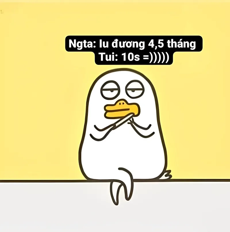 Meme avatar vịt ngáo khiến profile của bạn thêm phần hài hước.