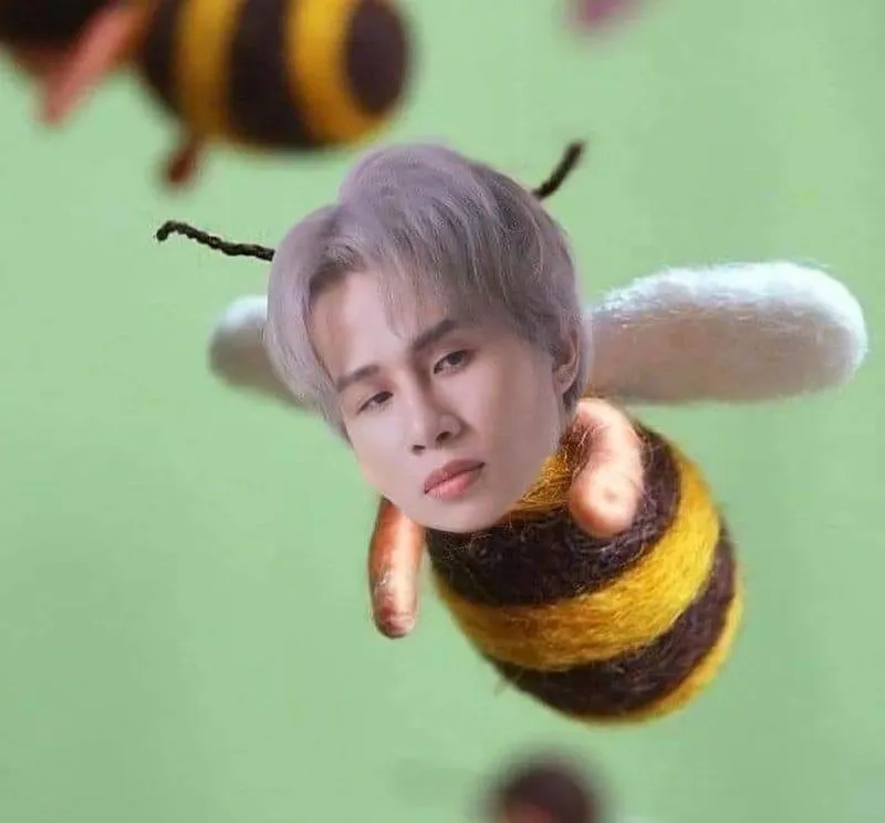 Tăng thêm sự hài hước với bộ ảnh meme vô tri có chữ sáng tạo.