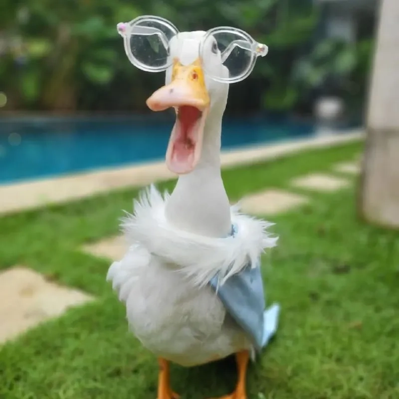 Cá tính và ngộ nghĩnh, avatar meme vô tri đang làm mưa làm gió trên mạng xã hội.