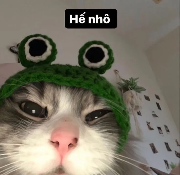 Meme chào ngày mới dễ thương là cách hoàn hảo để chia sẻ niềm vui buổi sáng