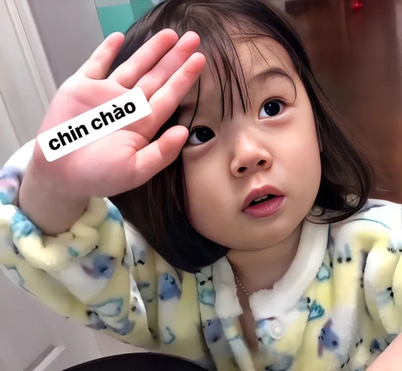 Cùng gấu trúc đáng yêu gửi lời xin chào qua meme đầy hài hước này
