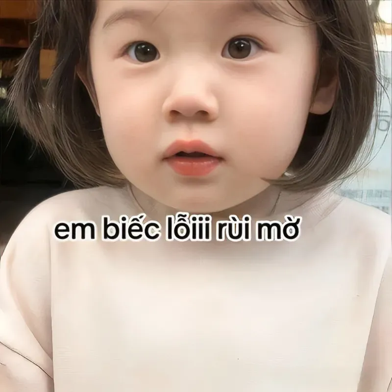 Hình ảnh đáng yêu và thông điệp dễ thương từ cute meme mèo xin lỗi sẽ khiến ai cũng mỉm cười.