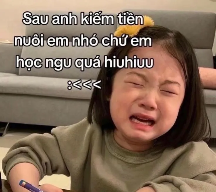 Meme tình anh em thể hiện sự gắn kết một cách lầy lội