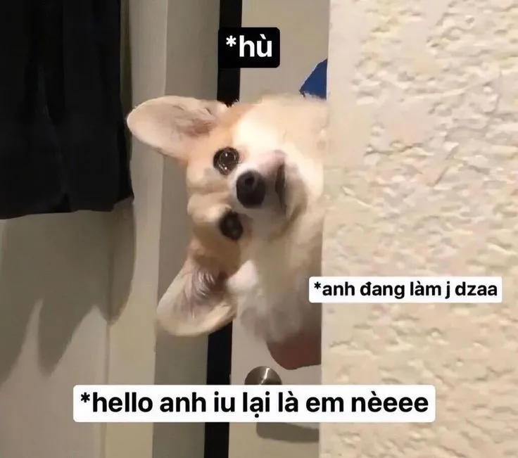 Meme si tình đầy ngọt ngào nhưng không kém phần lầy lội