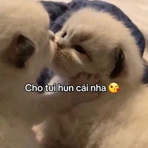 Biểu cảm hài hước trong meme giận người yêu làm ai cũng thích thú