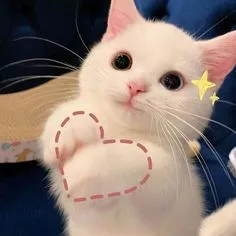 Meme bế người yêu là biểu cảm đáng yêu không thể bỏ qua