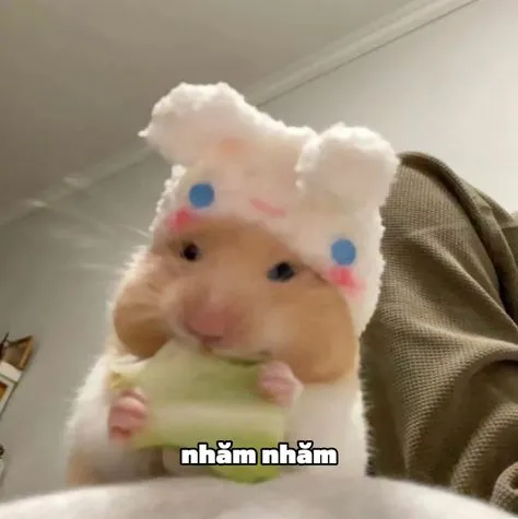 Meme bảo vệ người yêu đầy ngộ nghĩnh nhưng cũng rất chân thật