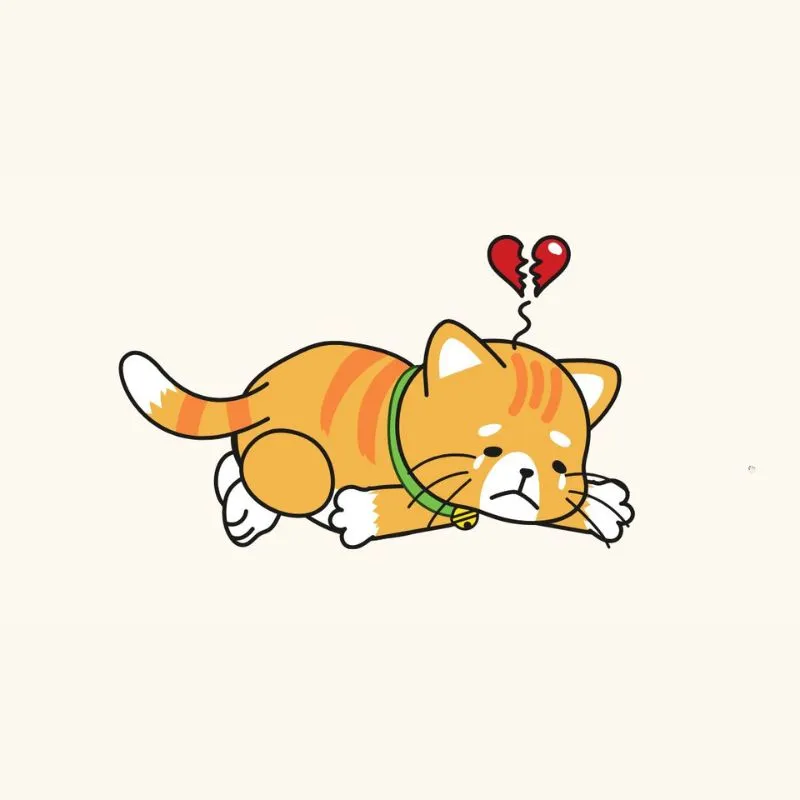 Hình ảnh mèo khóc với biểu cảm độc đáo làm nổi bật mọi bài đăng.