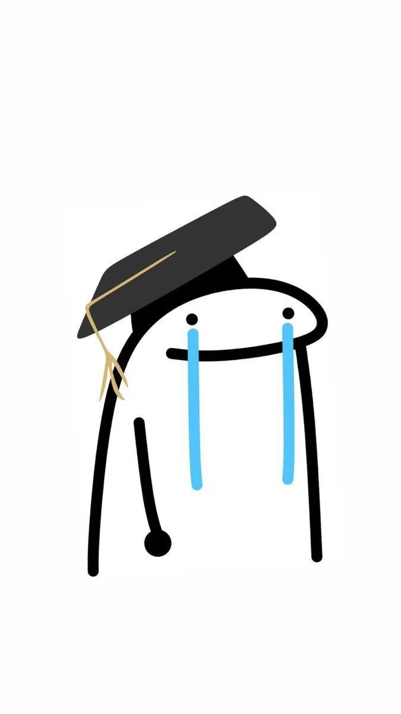 Meme mèo khóc bựa không chỉ hài hước mà còn đầy sáng tạo.