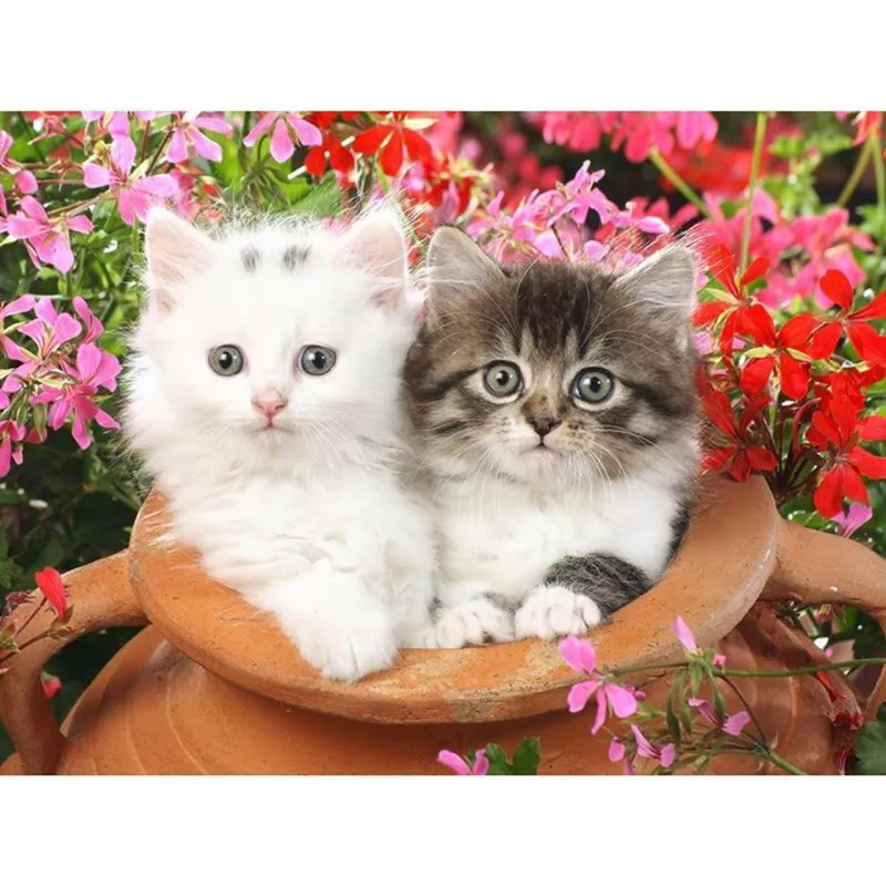 Meme cute có chữ luôn giúp bạn truyền đạt cảm xúc dễ dàng và nhanh chóng.