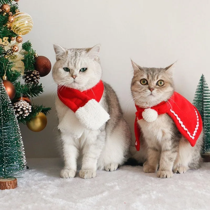 Hình ảnh mèo Noel meme không thể thiếu trong bộ sưu tập meme của bạn trong dịp lễ.
