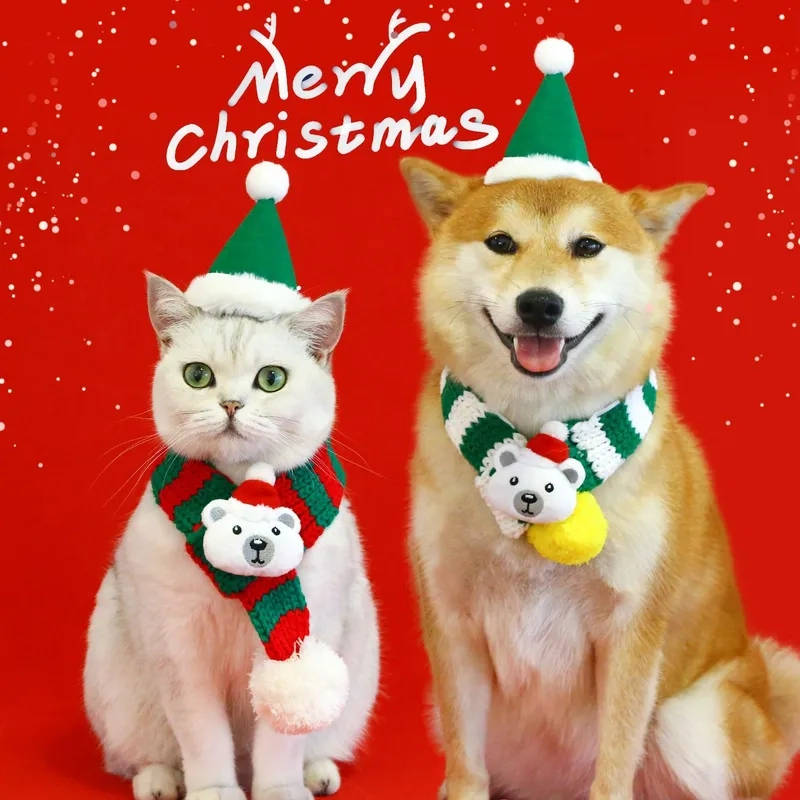 Mèo Noel meme là cách tuyệt vời để thể hiện sự yêu thích Giáng Sinh trong năm nay.