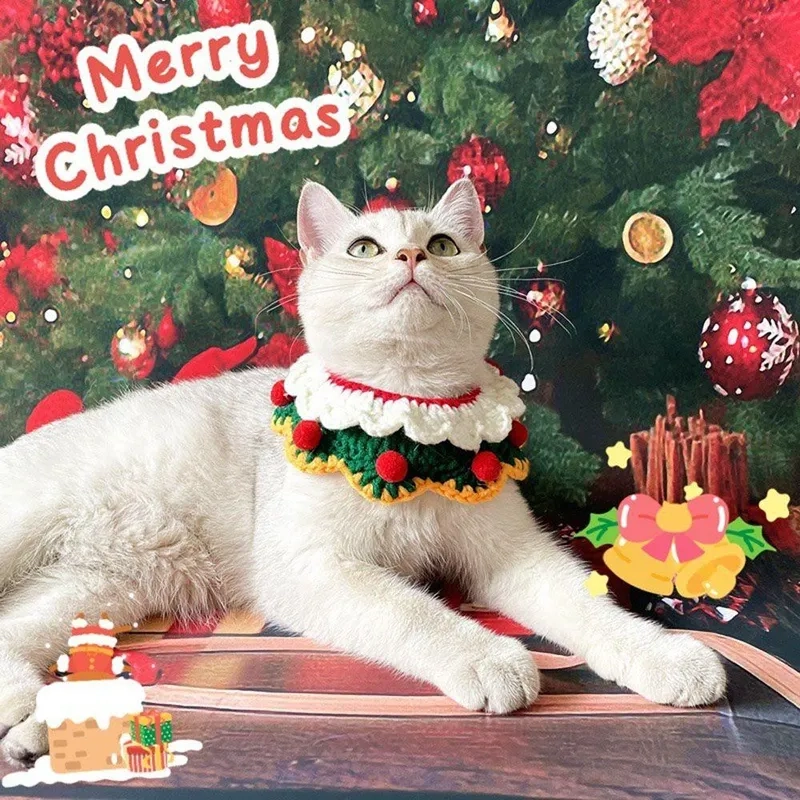 Mèo Noel meme với biểu cảm ngộ nghĩnh sẽ là hình ảnh tuyệt vời cho mùa Giáng Sinh.