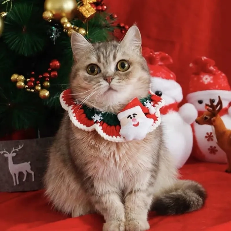 Mèo meme Noel, hoàn hảo để chia sẻ với bạn bè trong dịp lễ này.