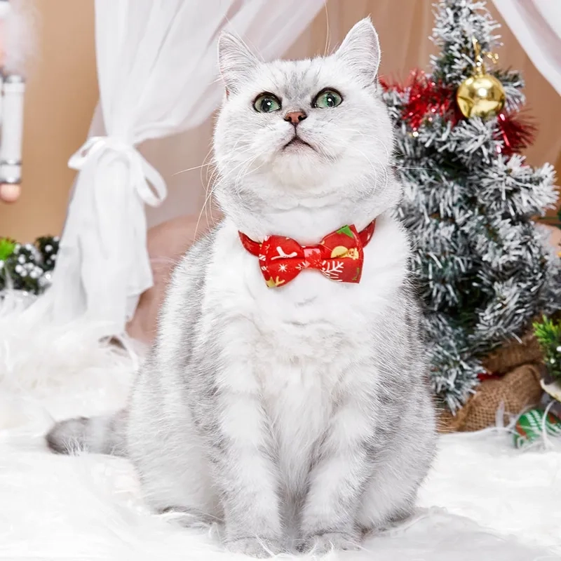 Chú mèo dễ thương với bộ đồ Noel khiến mọi người không thể rời mắt.