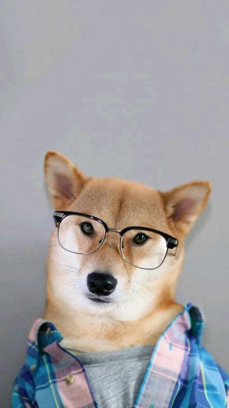 Biểu cảm lạnh lùng nhưng hài hước của mặt vô tri meme sẽ khiến bạn thích thú.