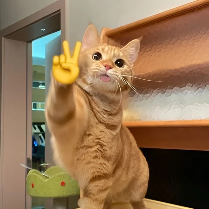 Sự hài hước khó cưỡng từ nụ cười vô tri meme khiến ai cũng yêu thích.
