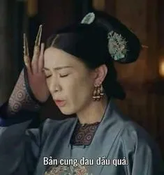 Mèo đánh lộn nhưng vẫn đáng yêu không cưỡng lại qua meme siêu hot