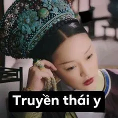 Meme gấu trúc đánh với biểu cảm ngộ nghĩnh sẽ làm ngày của bạn thêm phần thú vị