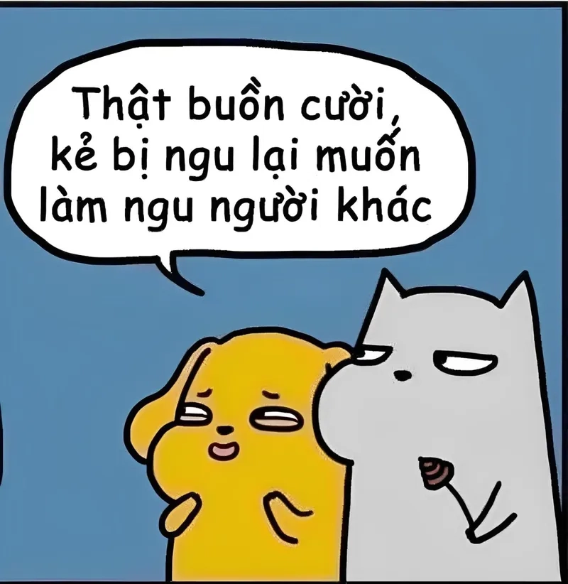 Những màn đối đáp bá đạo trong phiếu bé ngu meme không thể bỏ qua.
