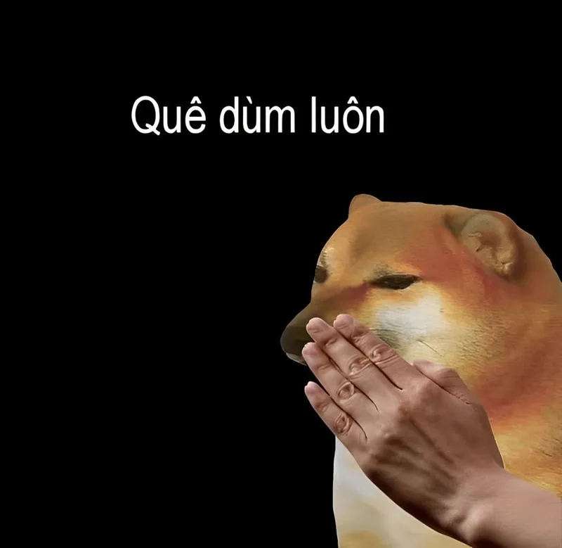 Meme ngại che mặt cực kỳ đáng yêu, dễ làm bạn cảm thấy 