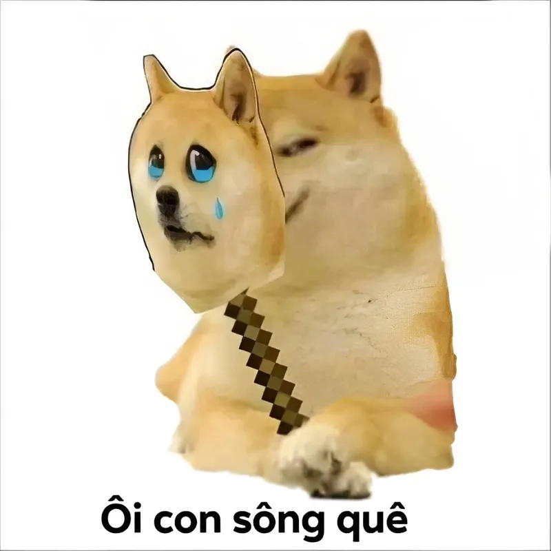 Meme ngại đỏ mặt với những tình huống 