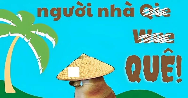 Meme cười ngại mang đến những khoảnh khắc vui vẻ không thể bỏ qua trong bộ sưu tập của bạn.